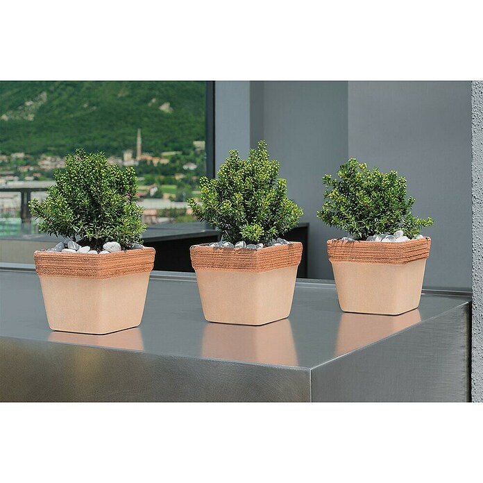 Cvetlični lonec Quadro Graffiato  (Naravni materiali) | 8451 - Terracotta Pflanzgefäße | IAKB - Gefäße Outdoor | IAK - Gefässe,Deko outdoor, Zeitschriften | IA - Gartenhartware | I - Stadtgarten | BAUHAUS