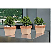 Cvetlični lonec Quadro Graffiato  (Naravni materiali) | 8451 - Terracotta Pflanzgefäße | IAKB - Gefäße Outdoor | IAK - Gefässe,Deko outdoor, Zeitschriften | IA - Gartenhartware | I - Stadtgarten | BAUHAUS