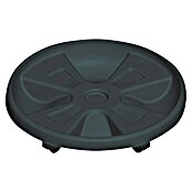 Podložak za biljke s kotačićima  (Vanjska dimenzija (ø x V): 30 cm x 6 mm, Plastika, Antracit) | BAUHAUS