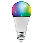 Osram Smart+ Pametna vtičnica Energy Meter  (Bela, Maksimalna priključna moč: 2.300 W) | 3458 - Smart Home | CBPA - Smart home | CBP - Smart home | CB - Elektroinstallation | C - Elektro | BAUHAUS
