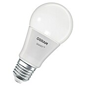 Osram Smart+ Pametna vtičnica Energy Meter  (Bela, Maksimalna priključna moč: 2.300 W) | 3458 - Smart Home | CBPA - Smart home | CBP - Smart home | CB - Elektroinstallation | C - Elektro | BAUHAUS