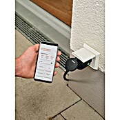 Osram Smart+ Pametna vtičnica Energy Meter  (Bela, Maksimalna priključna moč: 2.300 W) | 3458 - Smart Home | CBPA - Smart home | CBP - Smart home | CB - Elektroinstallation | C - Elektro | BAUHAUS
