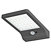 Osram Solarna zunanja stenska svetilka Basic  (3 W, Do x Š x V: 19,2 x 11 x 3 cm, Srebrna, IP44, 320 lm) | Solarne svetilke | Zunanja svetila | Elektro in svetila | Izdelki | BAUHAUS