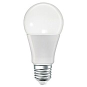 Osram Smart+ Pametna vtičnica Energy Meter  (Bela, Maksimalna priključna moč: 2.300 W) | 3458 - Smart Home | CBPA - Smart home | CBP - Smart home | CB - Elektroinstallation | C - Elektro | BAUHAUS