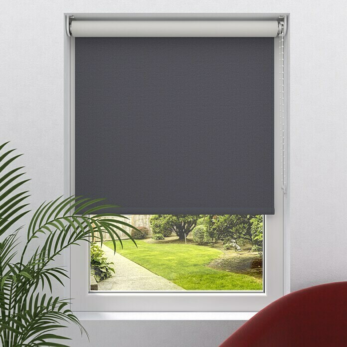 Expo Ambiente Rollo (B x H: 110 x 190 cm, Grau, Verdunkelung)