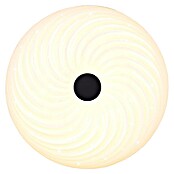 Trio Leuchten LED okrogla stropna svetilka Gravity  (22 W, Ø x V: 37,5 x 7,5 cm, Bela) | 3016 - Deckenleuchte | CACB - Deckenleuchten | CAC - Indoorleuchten | CA - Beleuchtung | C - Elektro | BAUHAUS