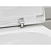 Hansgrohe Staand toiletset GladeLake S 640 (Softclose, Zonder spoelrand, Wit) | BAUHAUS