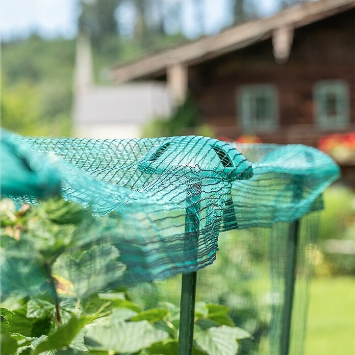 Windhager Pflanzstab - Netzhalter (Passend für: Windhager Stahlpflanzstäbe mit Ø11 und 16mm, Grün) | BAUHAUS