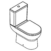Hansgrohe Staand toiletset GladeLake S 640 (Softclose, Zonder spoelrand, Wit) | BAUHAUS