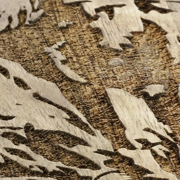 Deko-Tablett Rentier - Durchmesser: 28 cm, Holz - Nahaufnahme von Holz, das von Borkenkäfern befallen wurde und deren Fraßspuren zeigt. Das Muster offenbart die zerstörerische Kraft der Insekten.