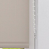 Expo Ambiente Rolo  (Š x V: 100 x 275 cm, Krem, Univerzalen, Prepustnost za dnevno svetlobo) | 6443 - Textil-Rollos | HDDA - Fenster-Sonnenschutz | HDD - Sonnenschutz | HD - Ambiente | H - Innendeko/Farben | BAUHAUS