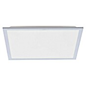 Paul Neuhaus LED-Panel Flat (25 W, L x B x H: 22,5 x 22,5 x 7,5 cm, Eisen, Warmweiß) | BAUHAUS