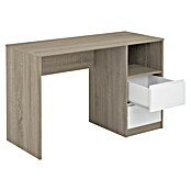 Meka Block Mesa de escritorio K-508 (L x An x Al: 50 x 120 x 75 cm, Roble Cambrian/Blanco) | BAUHAUS