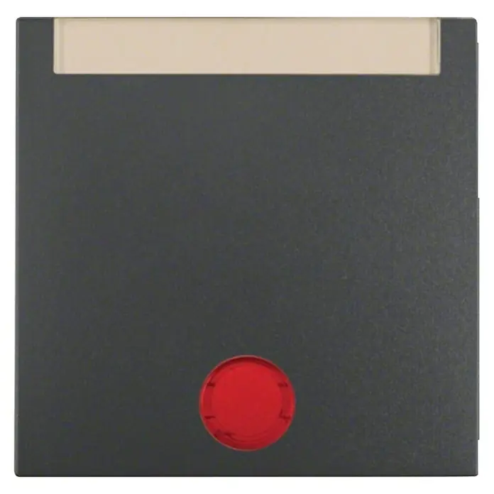 Berker Universalwippe mit 5 Linsen und Beschriftungsfeld S.1/B.3/B.7 16281404 - Anthrazit, Matt, Kunststoff, Unterputzmontage - Das Bild zeigt eine graue Schranktür mit einem roten Loch und einem hellen Rechteck oben, das sich für die Darstellung von Inhalten eignet.