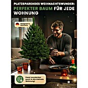 ArtiTree Künstlicher Weihnachtsbaum im Topf (Höhe: 80 cm, Grün) | BAUHAUS