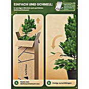 ArtiTree Künstlicher Weihnachtsbaum im Topf (Höhe: 80 cm, Grün) | BAUHAUS