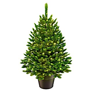 ArtiTree Künstlicher Weihnachtsbaum Nordfichte im Topf LED (Höhe: 60 cm, Grün, LED-Beleuchtung)