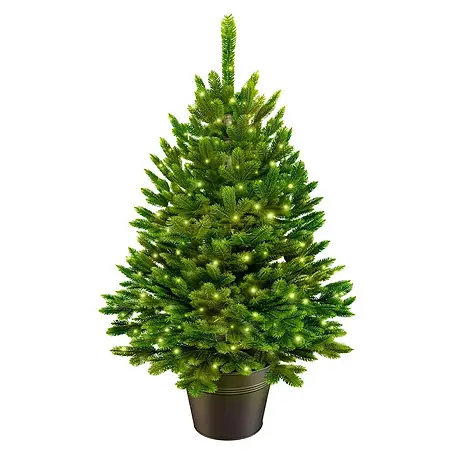 ArtiTree  Künstlicher Weihnachtsbaum Nordfichte im Topf LED