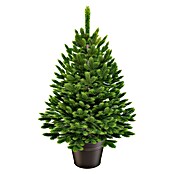 ArtiTree Künstlicher Weihnachtsbaum im Topf (Höhe: 80 cm, Grün) | BAUHAUS