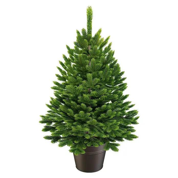 ArtiTree Künstlicher Weihnachtsbaum Nordfichte im Topf - Höhe: 60 cm, Grün - Dekorative grüne Fichte im Topf. Die realistische Weihnachtsbaum-Nachbildung ist eine stilvolle, pflegeleichte Alternative für die Feiertage.