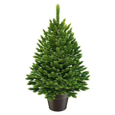 ArtiTree  Künstlicher Weihnachtsbaum Nordfichte im Topf