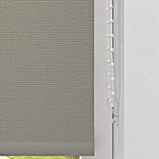 Expo Ambiente Zatemnitveni rolo  (Š x V: 100 x 190 cm, Univerzalen) | 6443 - Textil-Rollos | HDDA - Fenster-Sonnenschutz | HDD - Sonnenschutz | HD - Ambiente | H - Innendeko/Farben | BAUHAUS