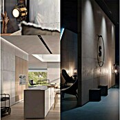 Sika Wandvuller Wall 550 Magic (3 kg) | BAUHAUS