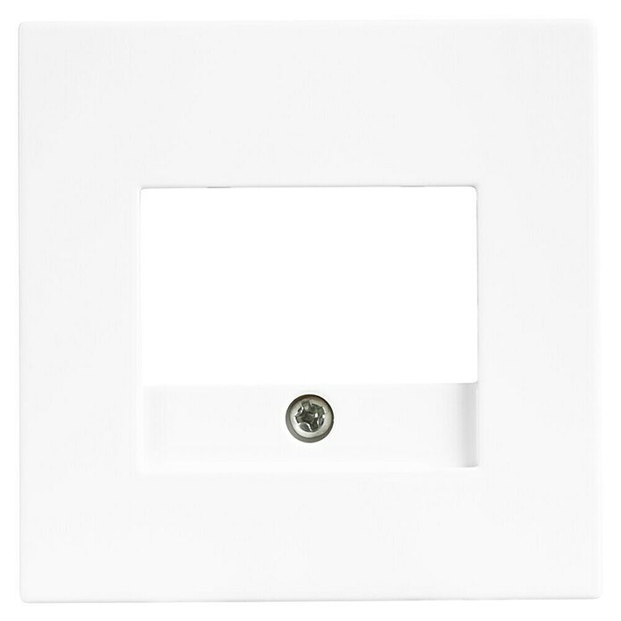 Ion Afdekraam TAE USB V1-J1 Alpine Wit (Alpin wit, Kunststof) | BAUHAUS