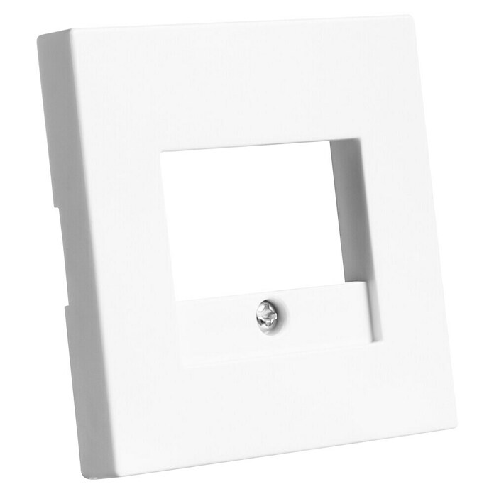 Ion Afdekraam TAE USB V1-J1 Alpine Wit (Alpin wit, Kunststof) | BAUHAUS