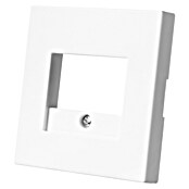 Ion Afdekraam TAE USB V1-J1 Alpine Wit (Alpin wit, Kunststof) | BAUHAUS