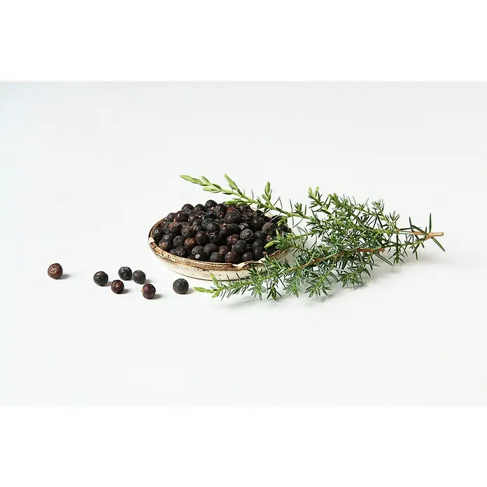 Blu Bio Wacholder - Juniperus communis 'Meyer', Topfgröße: 12 cm - Ein Teller mit Wacholderbeeren und einem Wacholderzweig, perfekt für kulinarische Zwecke.