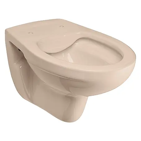 Calmwaters  Wand-WC Spülrandlos