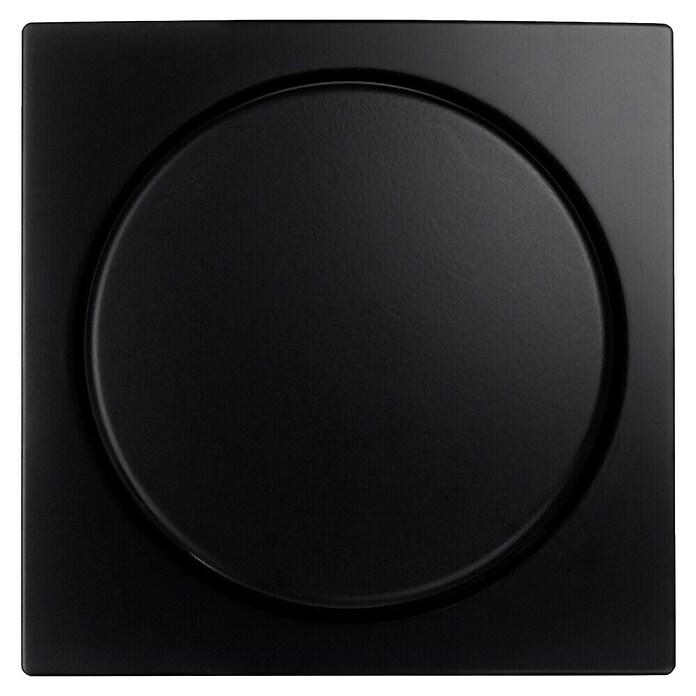 Ion Dimmer-afdekraam Centraalplaat E1 Zwart (Zwart, Mat, Kunststof) | BAUHAUS