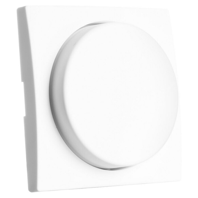 Ion Dimmer-afdekraam Centraalplaat E1 Alpine Wit (Alpin wit, Kunststof) | BAUHAUS