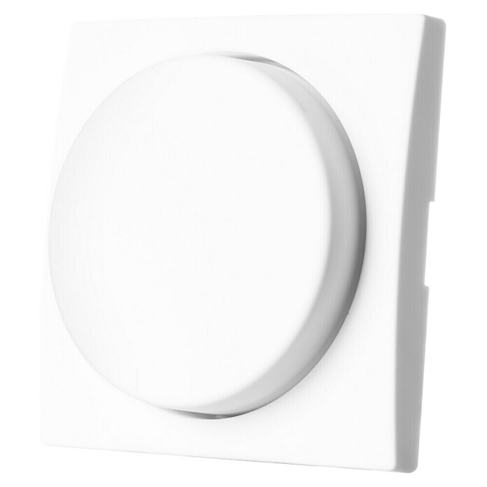 Ion Dimmer-afdekraam Centraalplaat E1 Alpine Wit (Alpin wit, Kunststof) | BAUHAUS
