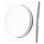 Ion Dimmer-afdekraam Centraalplaat E1 Alpine Wit (Alpin wit, Kunststof) | BAUHAUS