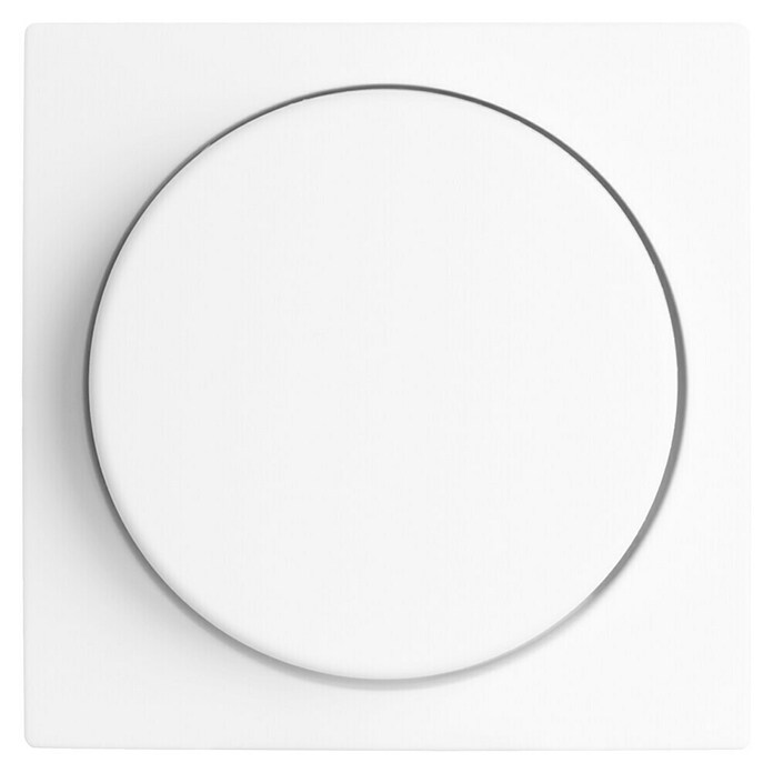 Ion Dimmer-afdekraam Centraalplaat E1 Alpine Wit (Alpin wit, Kunststof) | BAUHAUS