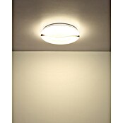 Globo Okrugla stropna LED svjetiljka Leticia  (24 W, Ø x V: 390 x 80 mm) | BAUHAUS