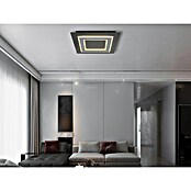 Globo LED-Deckenleuchte Jayden (L x B x H: 480 x 480 x 46 mm, quadratisch, Warmweiß, 40 W, Anthrazit) | BAUHAUS