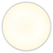 Globo LED-Deckenleuchte rund Nielsen (Ø x H: 400 x 40 mm, Weiß/Matt) | BAUHAUS