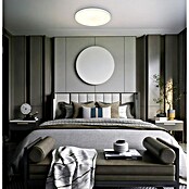 Globo LED-Deckenleuchte rund Nielsen (Ø x H: 400 x 40 mm, Weiß/Matt) | BAUHAUS