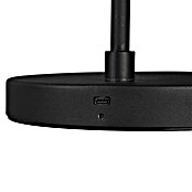 Trio Lighting Accu-vloerlamp Blake (Zwart, 125 cm, 4,5 W) | BAUHAUS