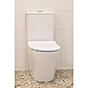 Pack de WC Kotor (Blanco)