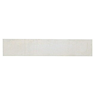 Beckers Betonzaun Zaunelement Standard glatte Platte (200 x 38,5 cm, Beton, Betongrau)