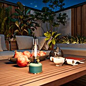 Calex Accu-tafellamp Lavinio (Hoogte: 27 cm, Groen, IP44) | BAUHAUS