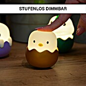 MegaLight LED-Nachtlicht Eggy Mystery Light Box (0,2 W, L x B x H: 45 x 45 x 50 mm, RGBW, Gesamtstückzahl: 1 Stk.) | BAUHAUS