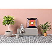 Muddy Buddy Bank Discoverer (83 x 35 x 32 cm, Holz, Warmgrau) | BAUHAUS