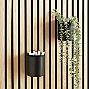 Millex Wandhouder voor akoestische panelen (Ø x h: 10,5 x 12 cm, Passend bij: Akoestische panelen, Montagemethode: Ophangen) | BAUHAUS