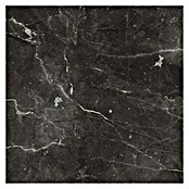 CUCINE Küchenarbeitsplatte nach Maß (Bottacino Marmor, Max. Zuschnittsmaß: 365 x 63,5 cm, Stärke: 3,8 cm)