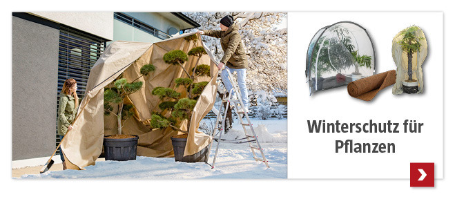 Winterschutz für Pflanzen entdecken